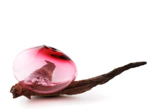 laetitia_andrighetto_jeanCharles_miot_lo_duca_remi_phytochrome