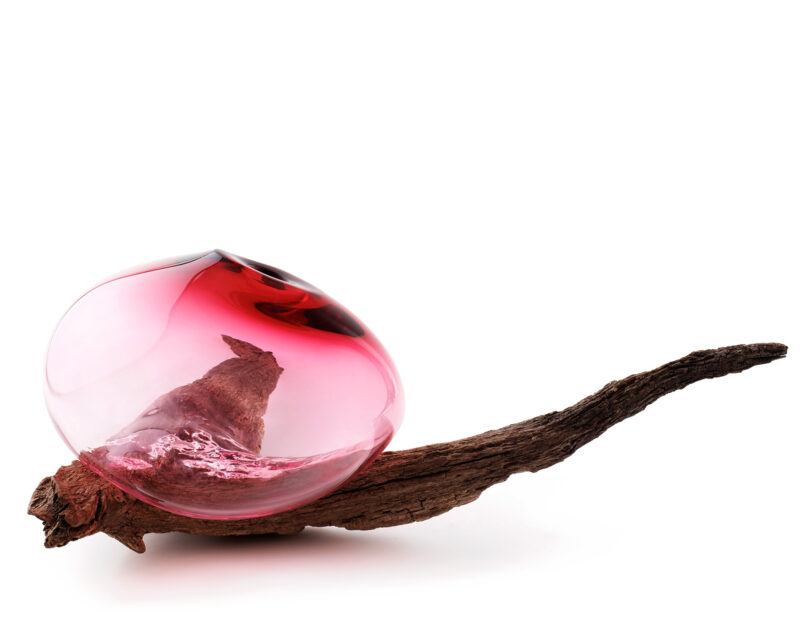 laetitia_andrighetto_jeanCharles_miot_lo_duca_remi_phytochrome